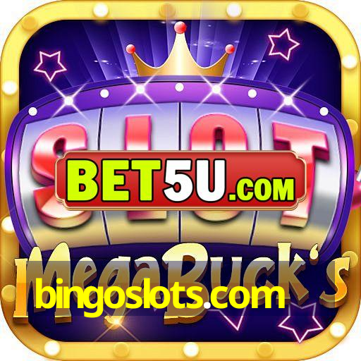 bingoslots.com