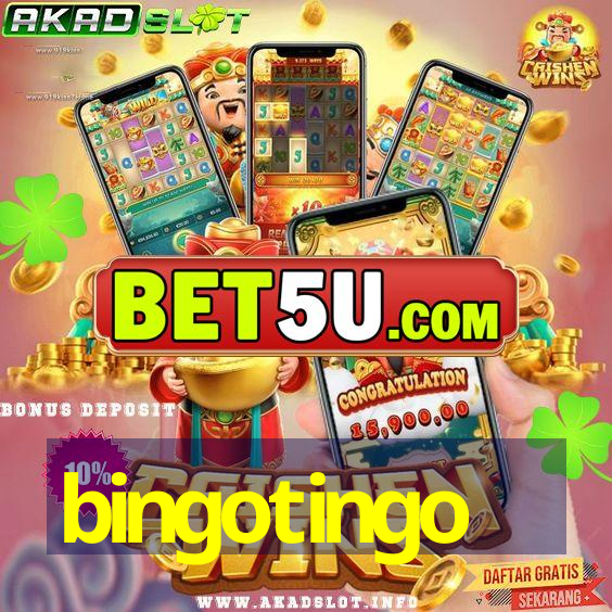 bingotingo