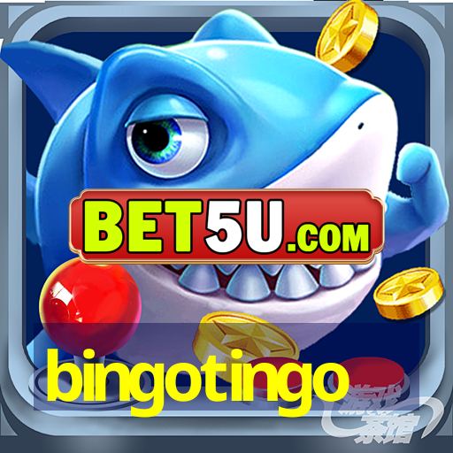 bingotingo